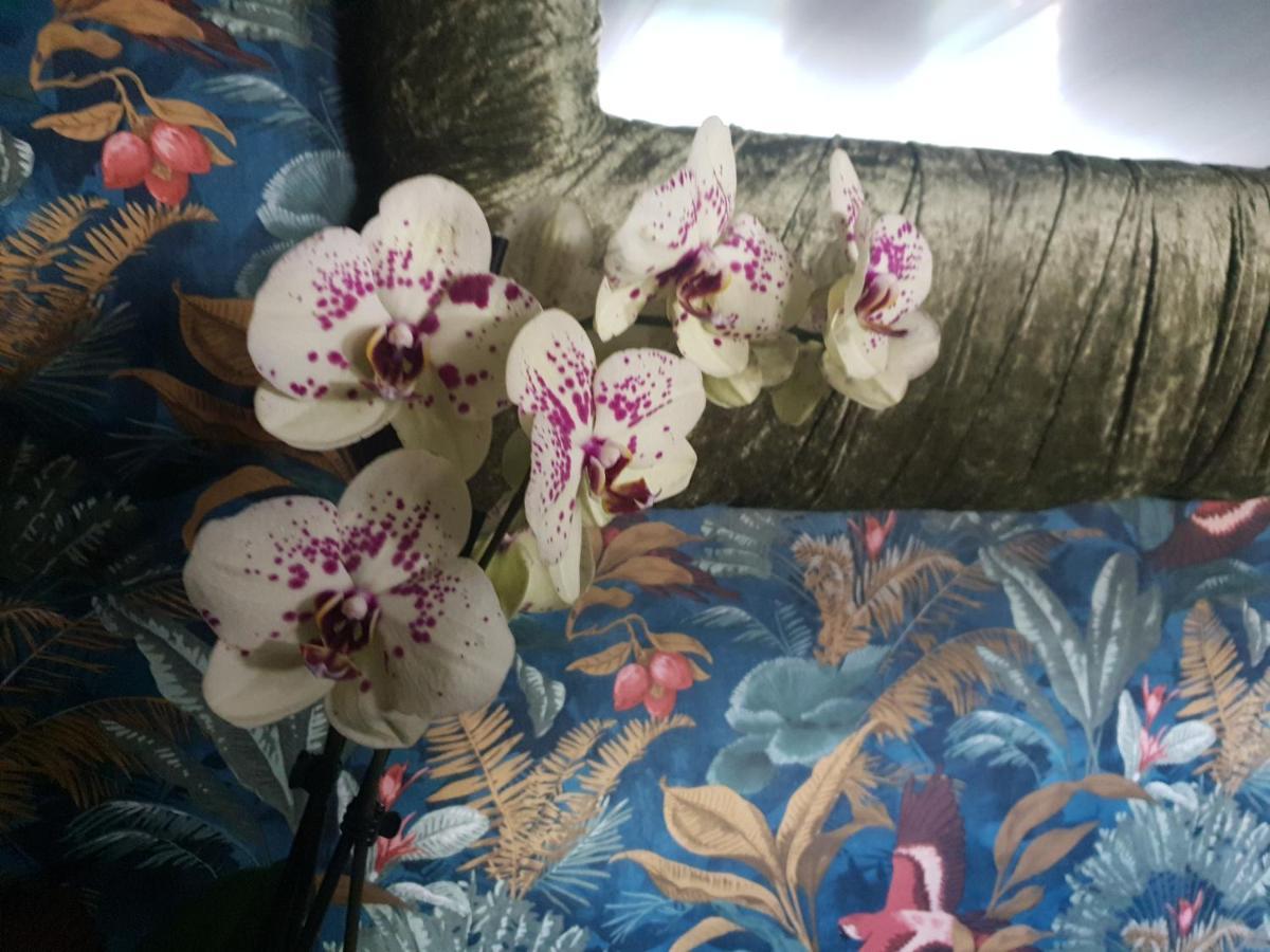 Jasmine Coral Jay Boutique Boatel Ocean Village Gibraltar Exteriör bild
