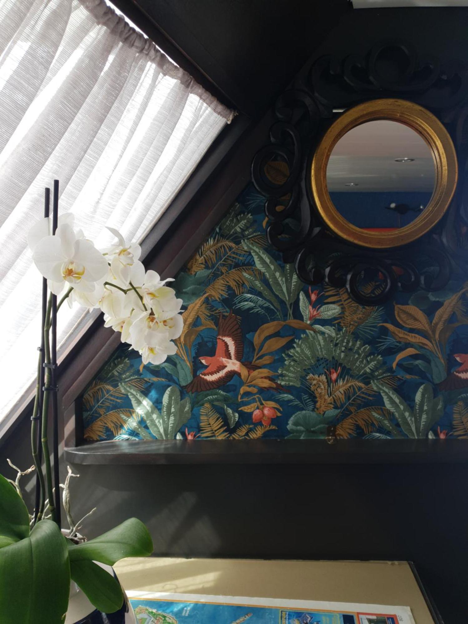 Jasmine Coral Jay Boutique Boatel Ocean Village Gibraltar Rum bild