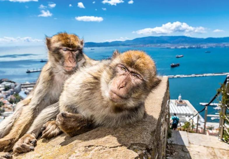 Jasmine Coral Jay Boutique Boatel Ocean Village Gibraltar Exteriör bild